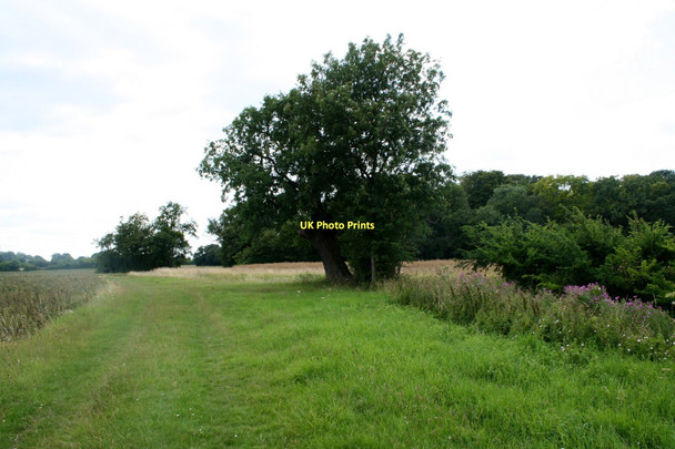 Photo 6"x4" Colliersley Wood, Gestingthorpe Gestingthorpe c2011