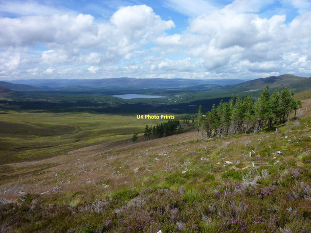 Photo 6"x4" Lochan na Beinne Plantation Stac na L-Iolaire c2011