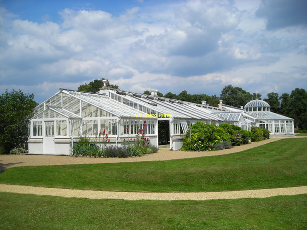 Photo 6"x4" Conservatory, Chiswick House Chiswick c2010