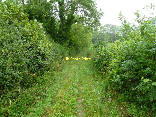 Photo 6"x4" Hilton, bridleway Hilton\/ST7803 c2011