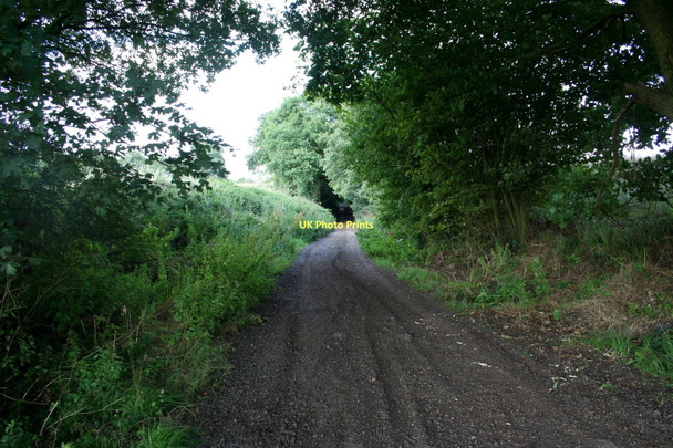 Photo 6"x4" Kendallscroft Grove, Castle Hedingham Castle Hedingham c2011