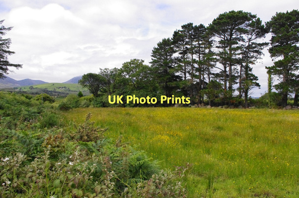 Photo 6"x4" Pasture, Carhoonahone Beaufort\/V8892 c2011