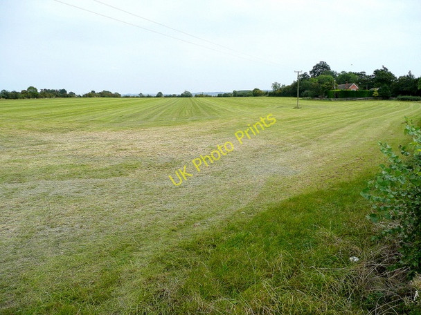 Photo 6"x4" Grassland near Hinton Cross 3 Hinton Cross c2009
