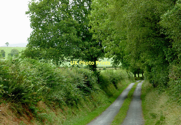 Photo 6"x4" Narrow lane north of Stags Head, Ceredigion Stags Head c2011