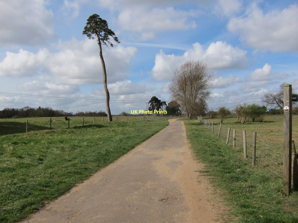 Photo 6"x4" Path from Icklingham Icklingham c2011