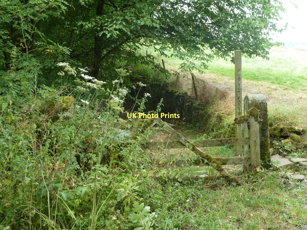 Photo 6"x4" Entering Bramley Wood Bubnell c2011