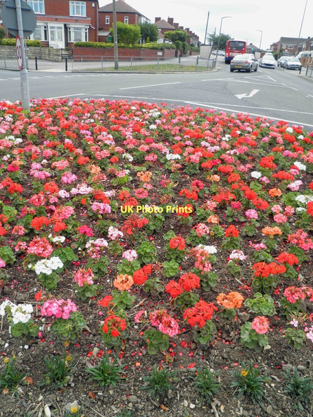 Photo 6"x4" Darfield ring Darfield c2011