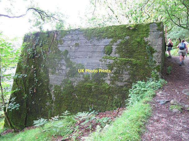 Photo 6"x4" Settling tank at Shaugh Prior Shaugh Prior c2011