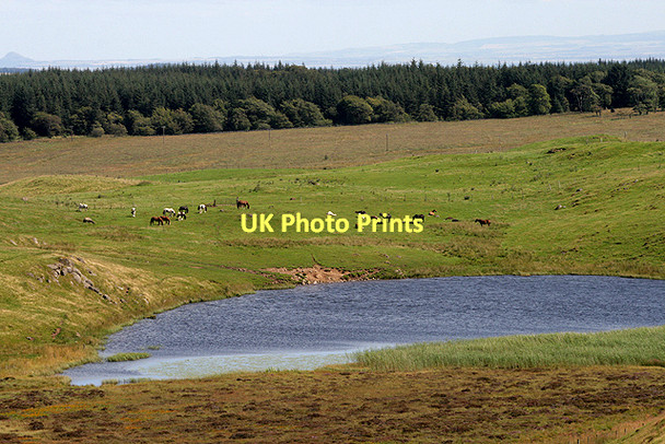 Photo 6"x4" Lurg Loch Cleish c2011