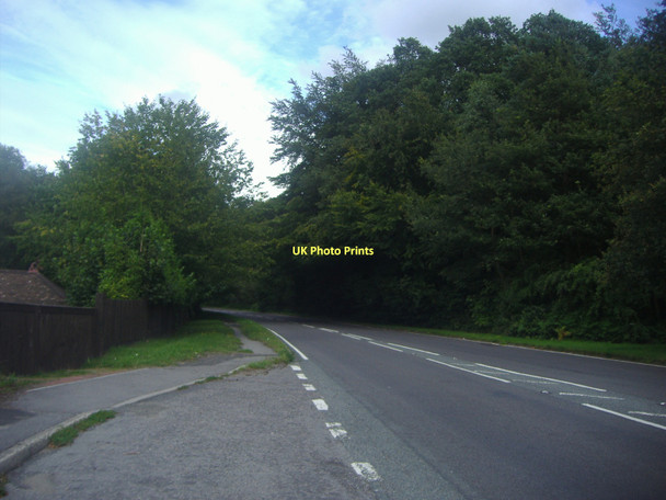 Photo 6"x4" London Road near Liss Rake Common c2011