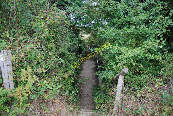 Photo 6"x4" Footbridge over a small distributary of the River Medway Barden Park c2009
