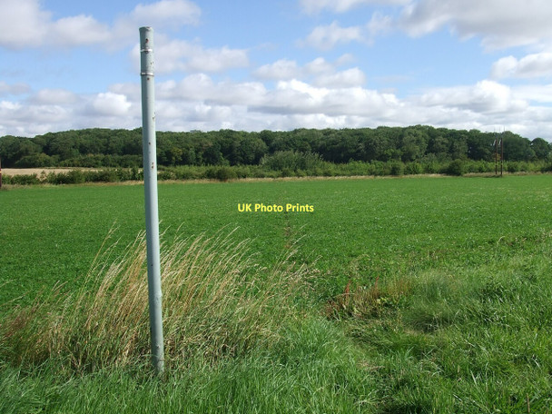 Photo 6"x4" Footpath to Barlings Park woodland Barlings c2011