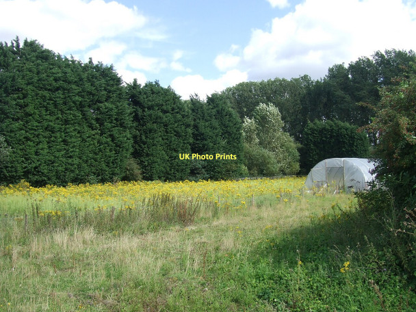 Photo 6"x4" Flowers and Greenhouse, off Barlings Lane Barlings c2011
