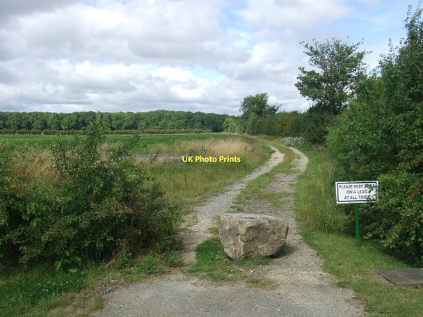 Photo 6"x4" Footpath towards Barlings Park Barlings c2011