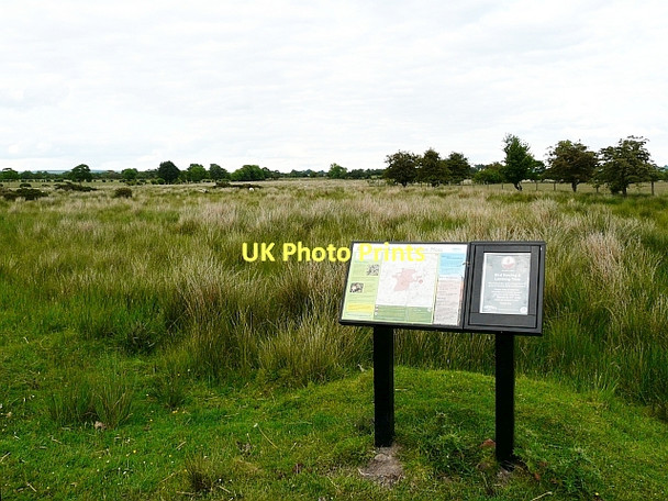 Photo 6"x4" Information board at the edge of Walton Moss Walton\/NY5264 c2008