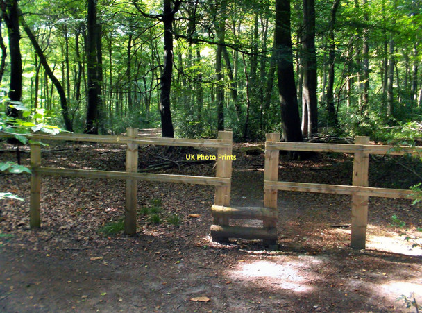 Photo 6"x4" New Fence and Stile Cray's Pond c2011