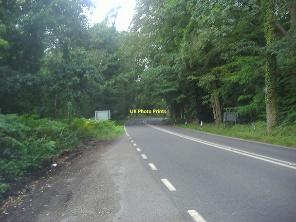 Photo 6"x4" Portsmouth Road approaching Liphook Upper Wardley c2011