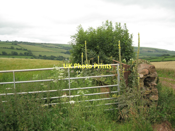 Photo 6"x4" Gates and damaged gate-pillar above Lower Washbourne  Tuckenhay c2011