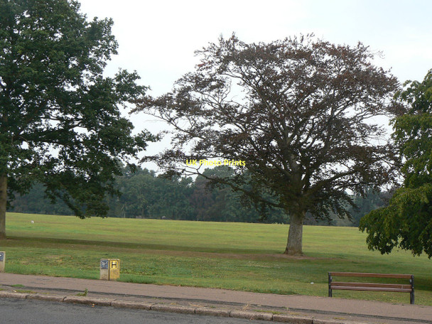 Photo 6"x4" Abington Park Northampton\/SP7561 c2011