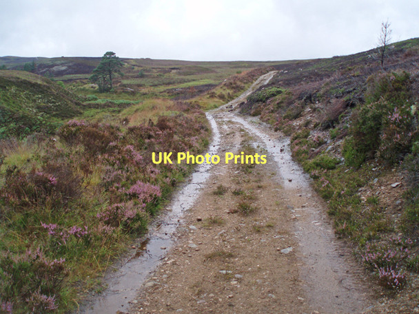 Photo 6"x4" Moorland track Upper Knockando c2011