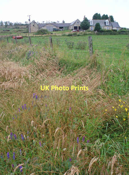 Photo 6"x4" Leakin Farm Upper Knockando c2011