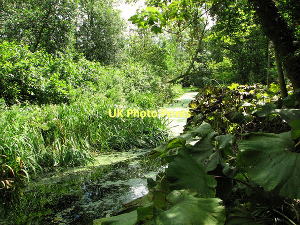 Photo 6"x4" Water channel in Fairhaven Water Garden, South Walsham South Walsham c2011