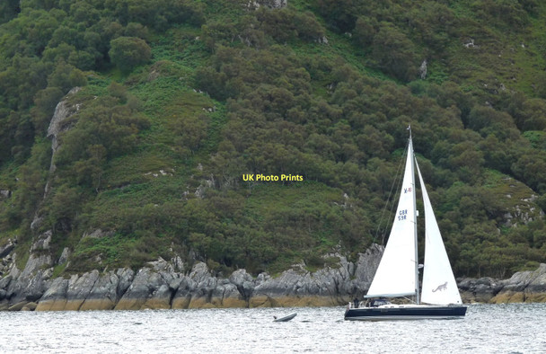 Photo 6"x4" Sron Raineach Mallaigmore c2011