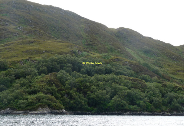 Photo 6"x4" Hillside above Tarbet Bay Tarbet\/NM7992 c2011