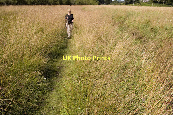 Photo 6"x4" Footpath across Rusland Moss National Nature reserve Rushland Cross c2011