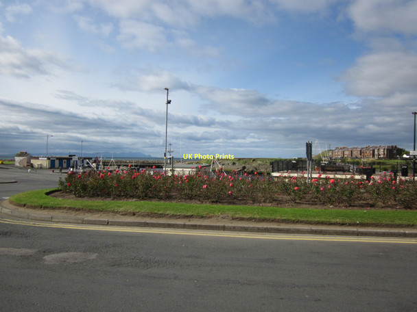 Photo 6"x4" Rose Garden Girvan c2011