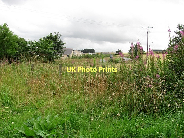 Photo 6"x4" Hedgerow near Inverurie Inverurie c2011