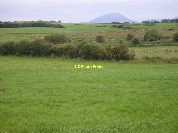 Photo 6"x4" Scrub speckled fields with mountain peak beyond Killala c2011