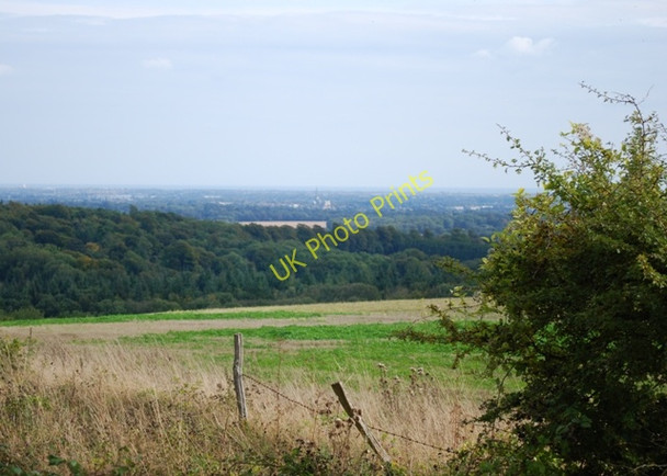 Photo 6"x4" Chichester from Kingley Vale Stoughton\/SU8011 c2009