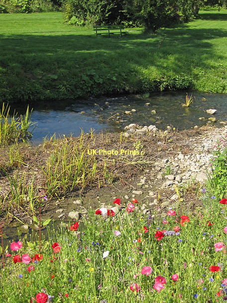 Photo 6"x4" Bedale Beck, Crakehall Little Crakehall c2011