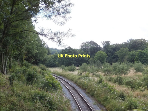 Photo 6"x4" South Devon Steam Railway line at Riverford Bridge Shinner's Bridge c2011