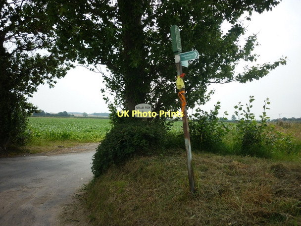 Photo 6"x4" A bridleway to Poplars Farm Arkendale\/SE3860 c2011