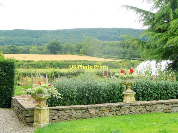 Photo 6"x4" Garden with a view Weobley Marsh c2011