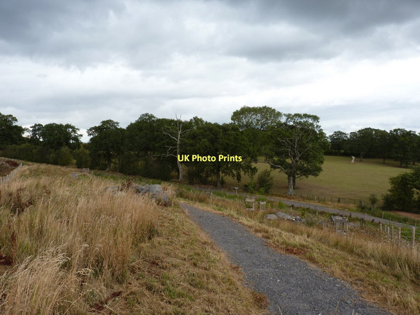 Photo 6"x4" Habitat restoration near Bayston Hill quarry Betton Strange c2011