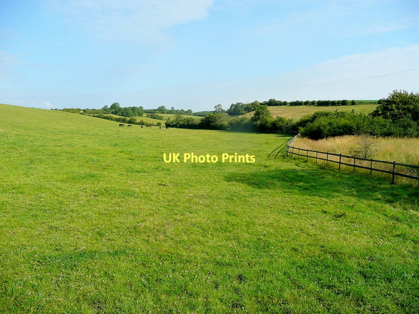 Photo 6"x4" Cotswold dry valley Barnsley\/SP0705 c2011