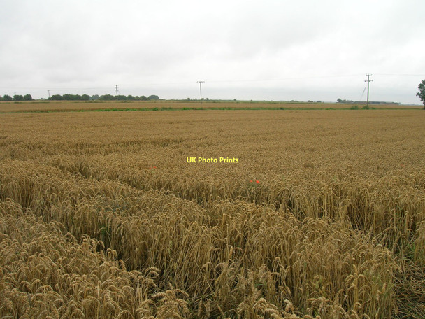 Photo 6"x4" Farmland, Goole Fields Goole c2011