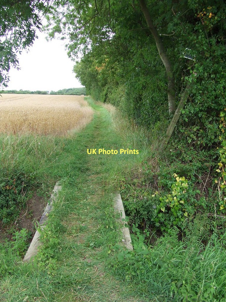 Photo 6"x4" Footpath And Bridge Hobbles Green c2011