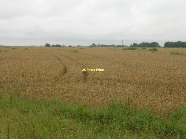 Photo 6"x4" Farmland, Goole Fields Goole c2011