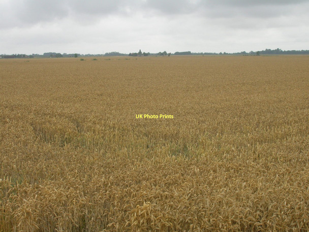 Photo 6"x4" Farmland off the A161 Swinefleet c2011