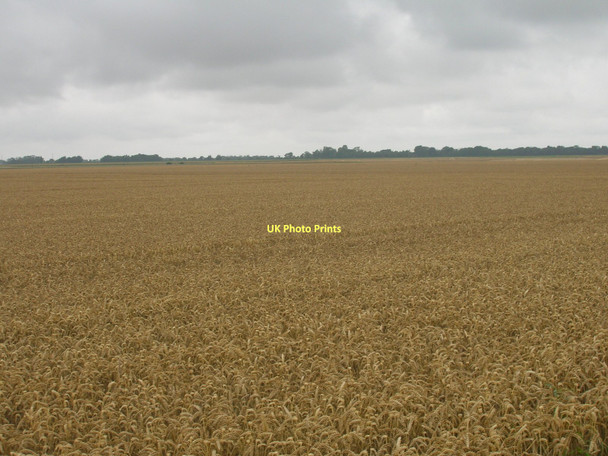 Photo 6"x4" Farmland off New Lane Swinefleet c2011