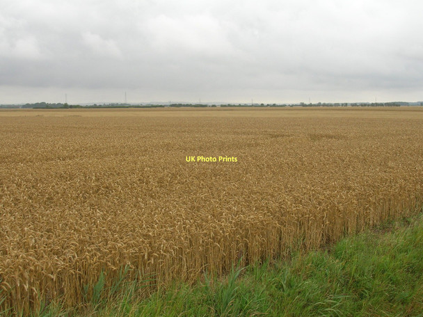 Photo 6"x4" Farmland, Marsh Furlong Little Reedness c2011