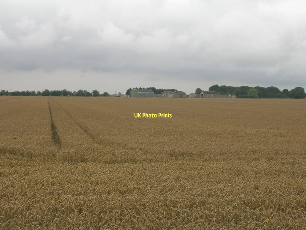 Photo 6"x4" Farmland, Low East Moor Field Little Reedness c2011