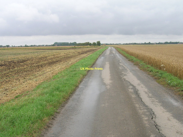 Photo 6"x4" Church Lane towards Little Reedness Little Reedness c2011