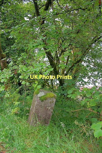 Photo 6"x4" Marker Stone, South Shian South Shian c2011