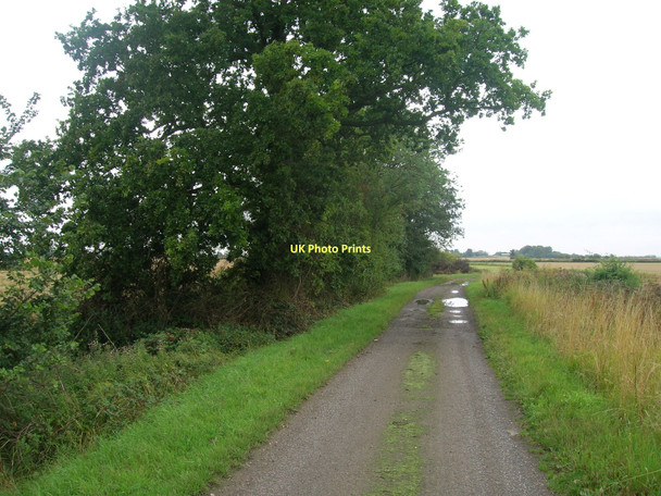 Photo 6"x4" Farm track (bridleway) south of Whitgift Whitgift c2011