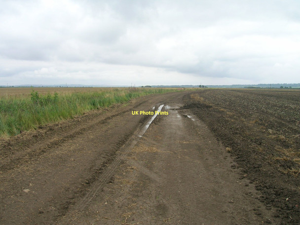 Photo 6"x4" Bridleway heading east Adlingfleet c2011